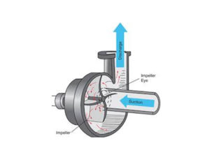 How Does A Centrifugal Pump Work Aline Pumps